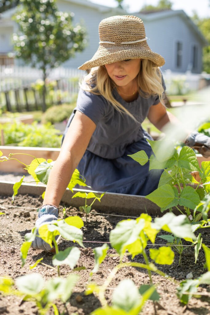 pineprospect july2024 31 scaled